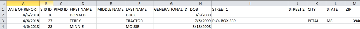 Example of an Exported Demographic Registry Report CSV File